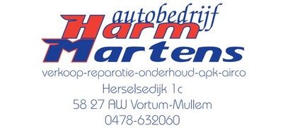 https://www.autobedrijf-harmmartens.nl/
