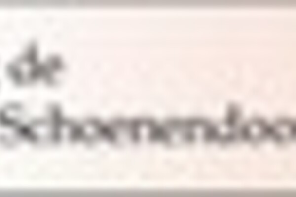 De oude schoenendoos